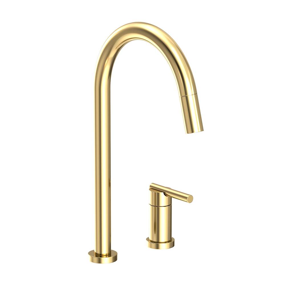 Newport Brass Retractable Faucets Kitchen Faucets item 1500-5123/01