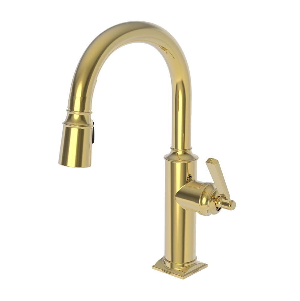 Newport Brass Pull Down Bar Faucets Bar Sink Faucets item 3170-5203/24