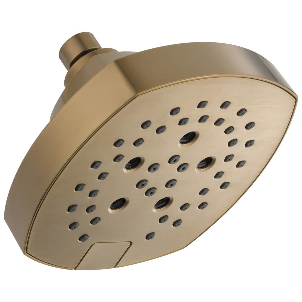 Delta Faucet  Shower Heads item 52663-CZ
