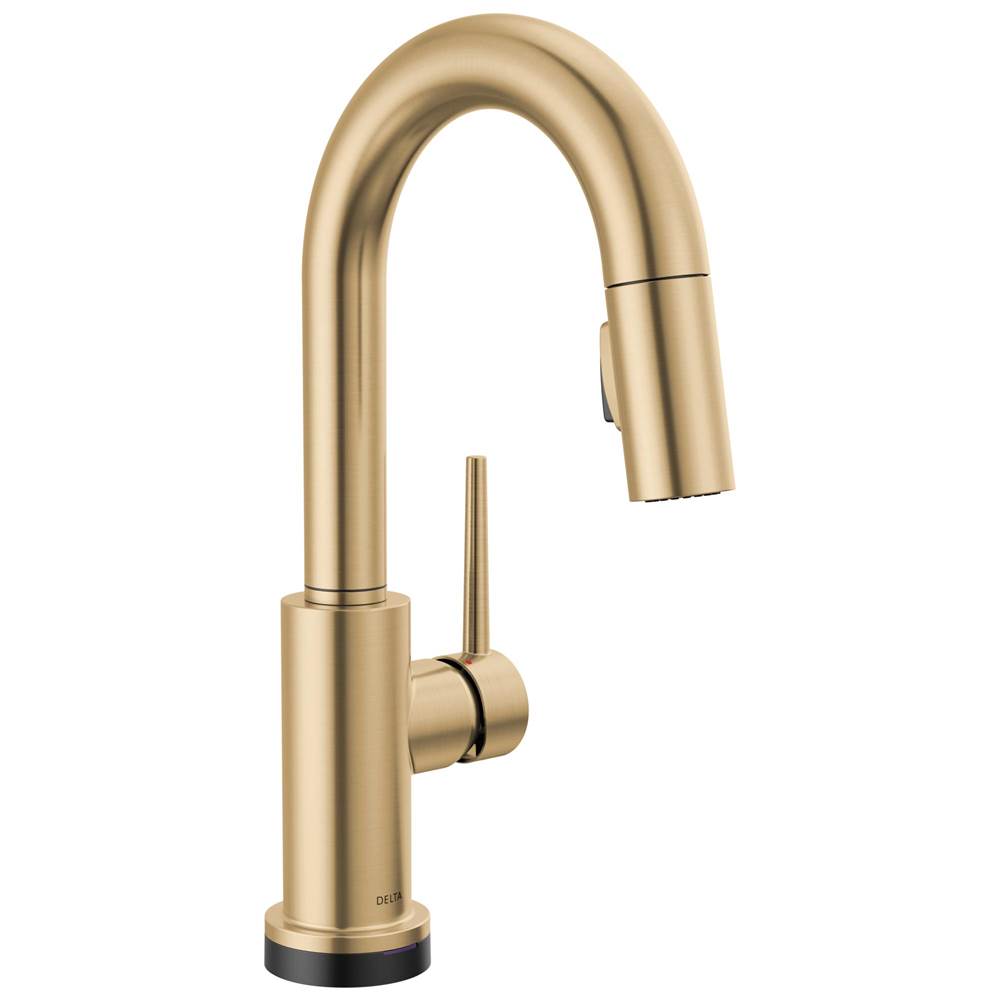 Delta Faucet Retractable Faucets Kitchen Faucets item 9959TL-CZ-DST
